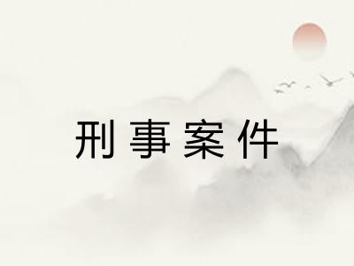 刑事案件 刑事案件