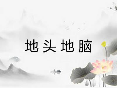 地头地脑 地头地脑