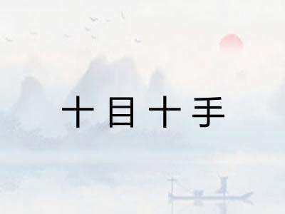 十目十手 十目十手