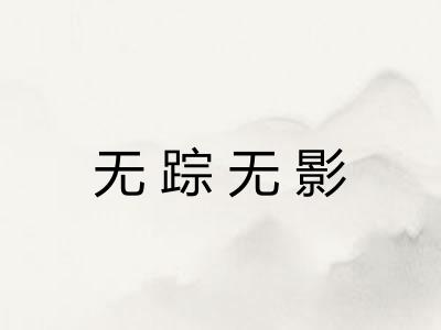 无踪无影 无踪无影