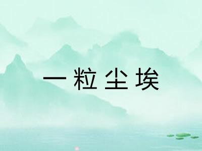 一粒尘埃 一粒尘埃