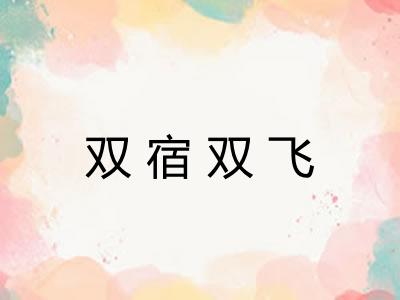 双宿双飞