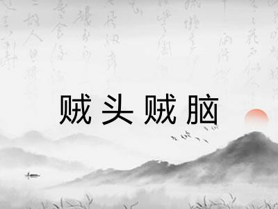 贼头贼脑 贼头贼脑