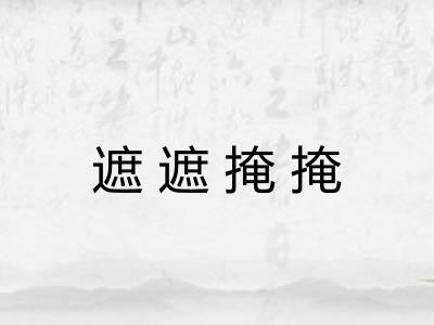 遮遮掩掩 遮遮掩掩