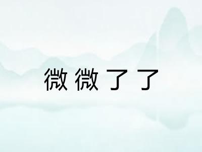 微微了了