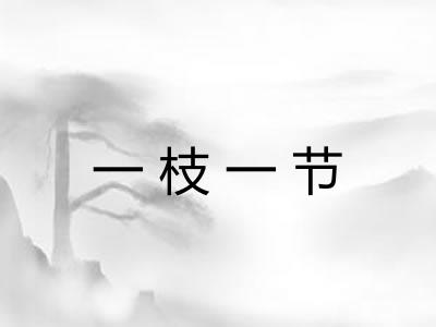 一枝一节