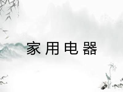家用电器 家用电器