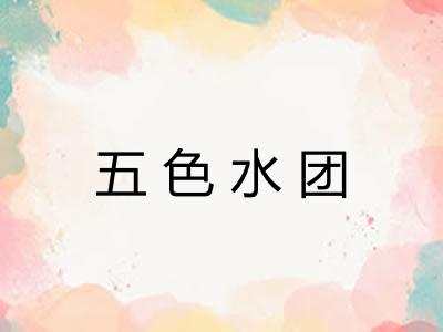 五色水团 五色水团