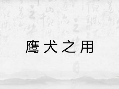 鹰犬之用 鹰犬之用