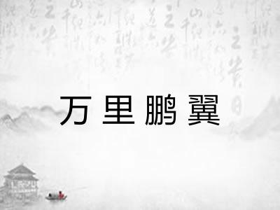 万里鹏翼 万里鹏翼