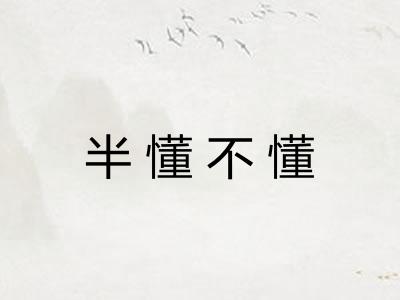 半懂不懂 半懂不懂