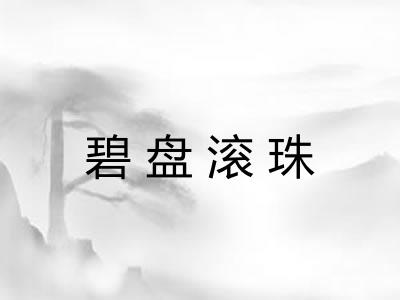 碧盘滚珠 碧盘滚珠