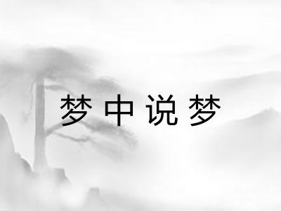 梦中说梦