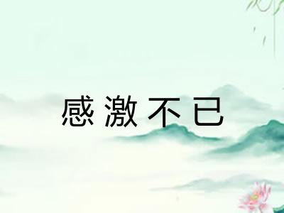 感激不已 感激不已