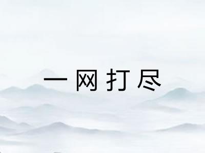 一网打尽 一网打尽