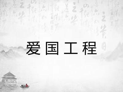 爱国工程 爱国工程