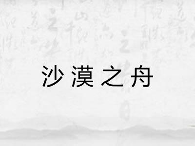 沙漠之舟 沙漠之舟