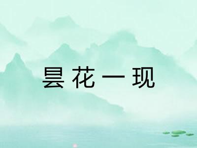 昙花一现 昙花一现