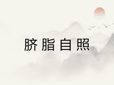 脐脂自照 脐脂自照