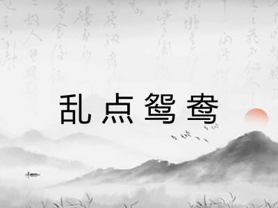 乱点鸳鸯 乱点鸳鸯