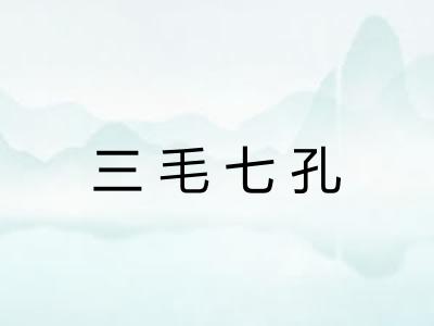 三毛七孔 三毛七孔