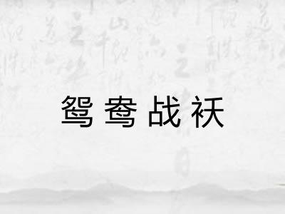 鸳鸯战袄 鸳鸯战袄