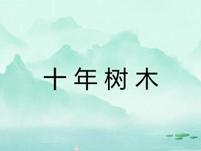 十年树木 十年树木