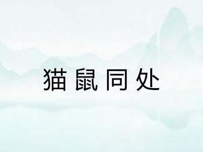 猫鼠同处 猫鼠同处