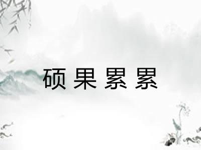 硕果累累 硕果累累