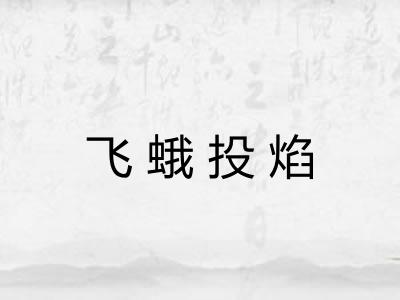 飞蛾投焰 飞蛾投焰