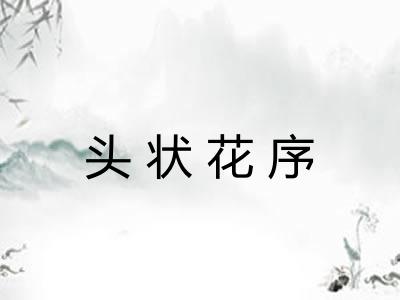 头状花序 头状花序