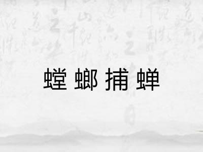 螳螂捕蝉 螳螂捕蝉