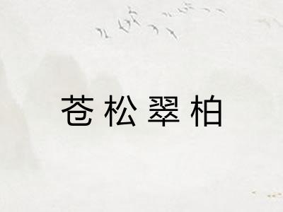 苍松翠柏 苍松翠柏