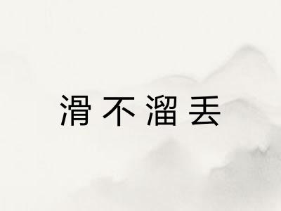 滑不溜丢 滑不溜丢