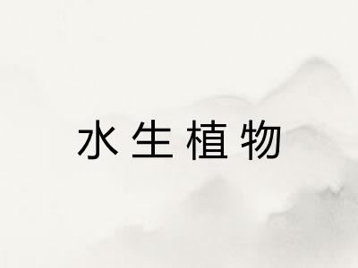 水生植物 水生植物