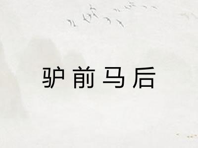 驴前马后