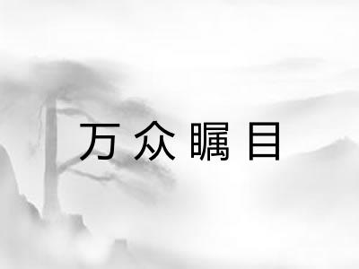 万众瞩目 万众瞩目