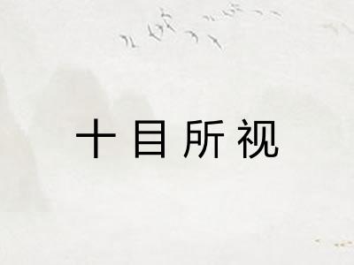 十目所视 十目所视