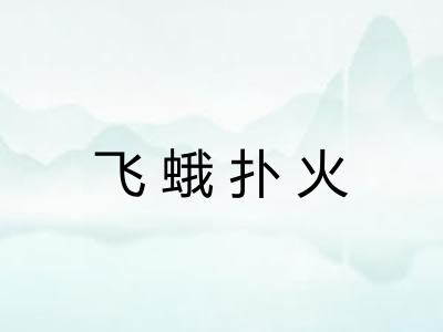 飞蛾扑火