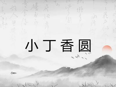 小丁香圆 小丁香圆