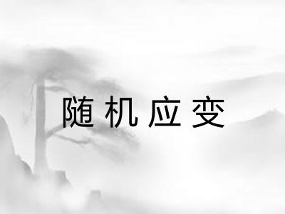 随机应变 随机应变