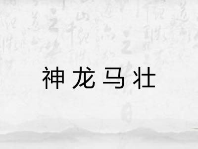 神龙马壮 神龙马壮