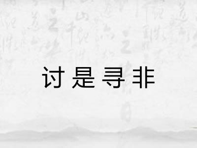 讨是寻非 讨是寻非