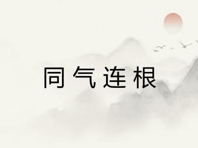 同气连根 同气连根