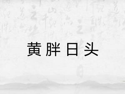 黄胖日头 黄胖日头