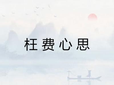 枉费心思 枉费心思
