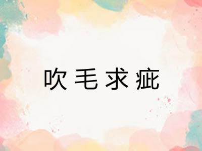 吹毛求疵 吹毛求疵