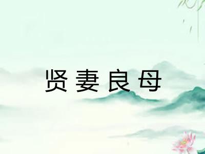 贤妻良母 贤妻良母