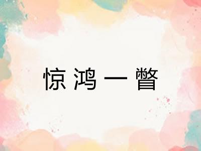 惊鸿一瞥 惊鸿一瞥