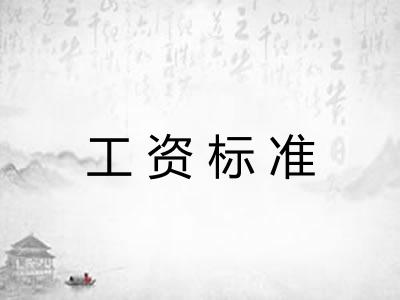 工资标准 工资标准
